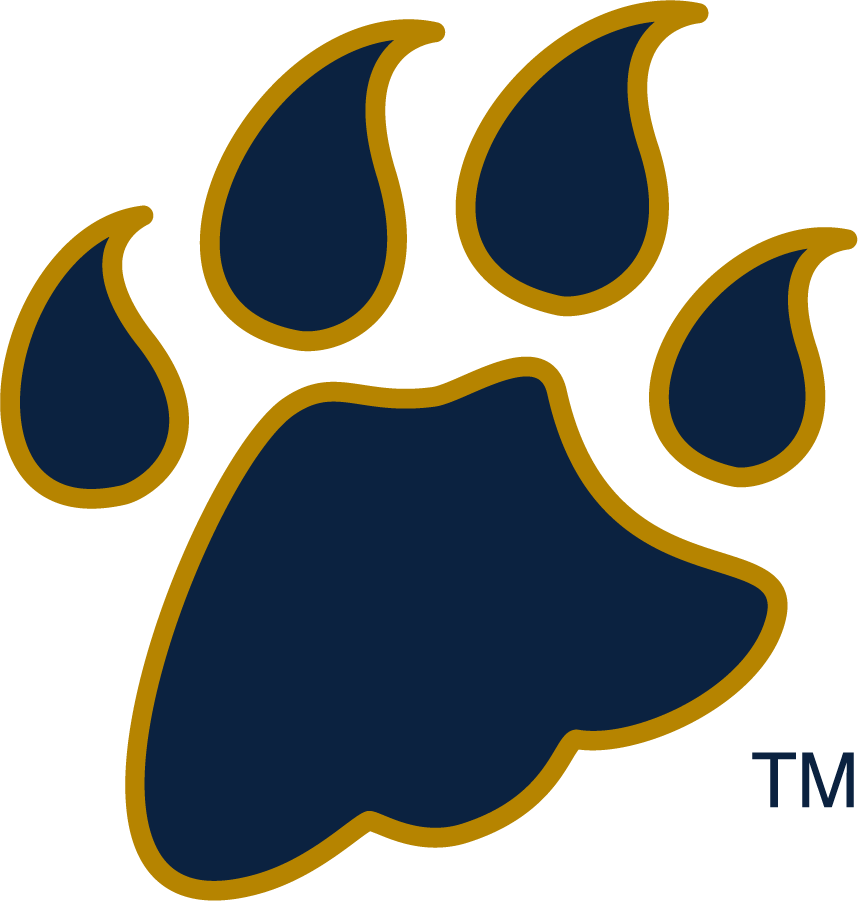 Quinnipiac Bobcats 2002-2017 Secondary Logo v4 diy iron on heat transfer